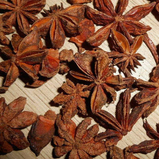 20Pcs Star Anise Seeds Medicinal Aromatics Cooking Spice Garden Farm Yard Plant