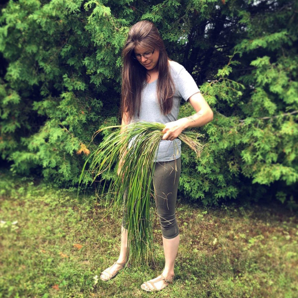 30Pcs Sweet Grass Seeds Herbs Easy Grow Plant Garden Balcony Farm Yard Decor