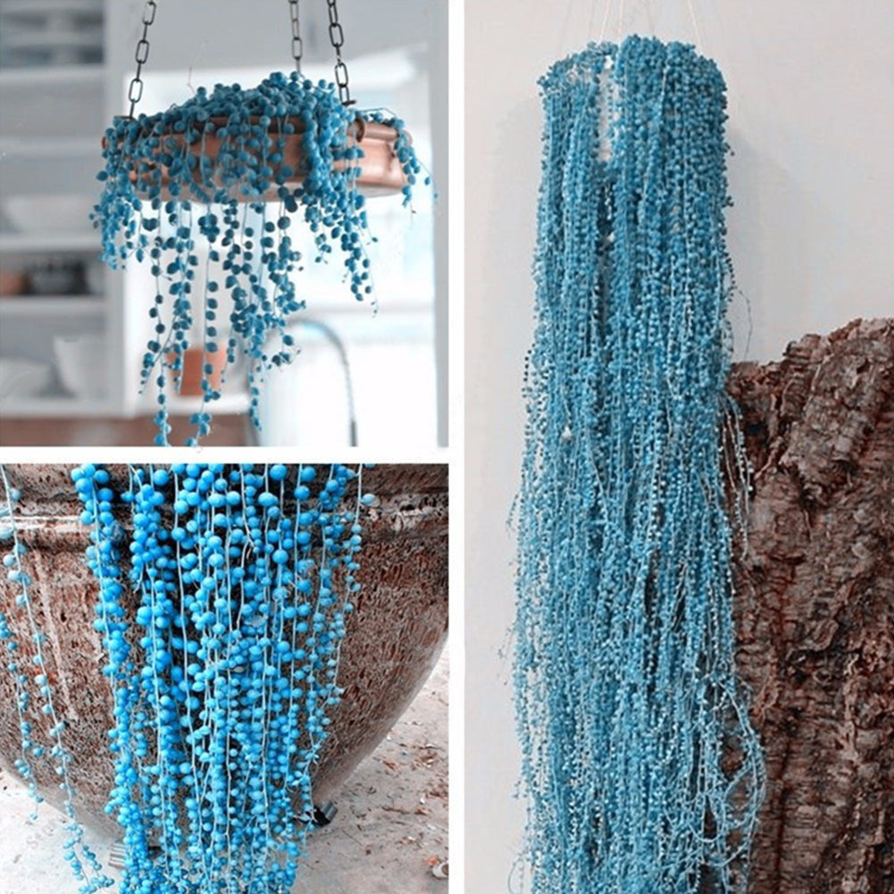 50Pcs Rare Blue Pearl Chlorophytum Seeds Potted Plant Anti Radiation Home Decor