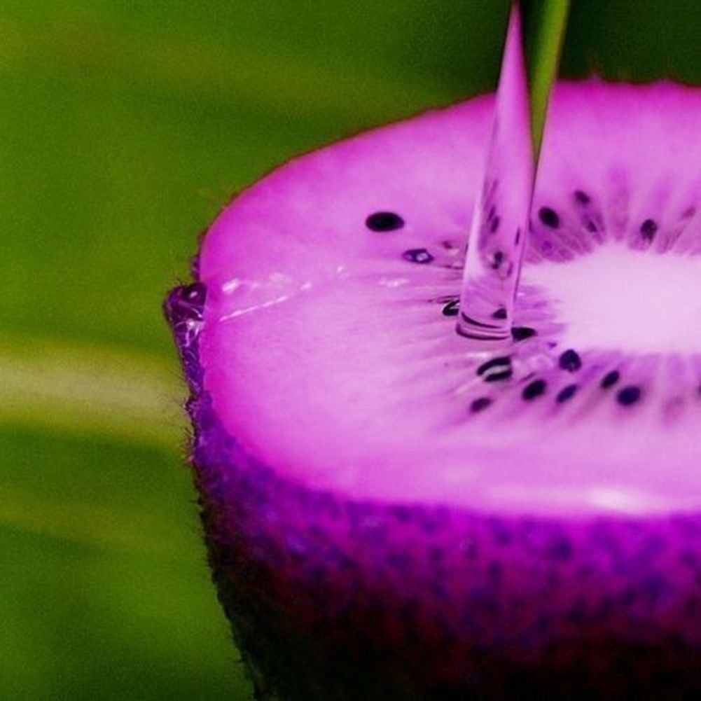 100Pcs Imported Kiwi Seeds Milk Taste Delicious Organic Fruit Home Garden Plant