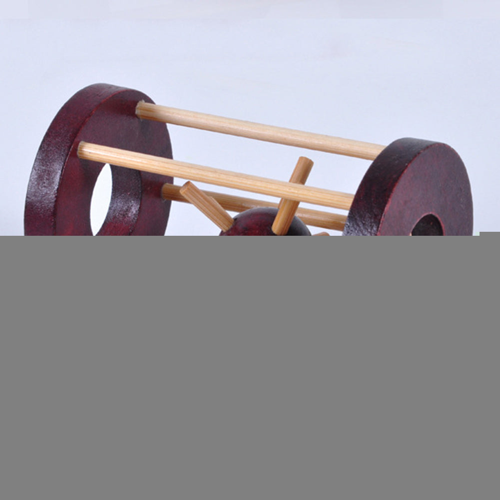 Take Thorn From The Cage IQ Brain Teaser Logic Adult Kids Wooden Puzzle Toy