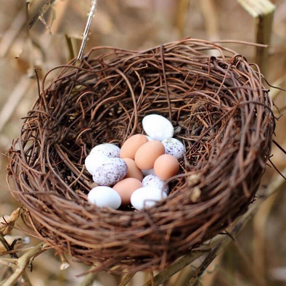 12/10/8/6 cm Vine Bird Nest House Home Decoration Craft Photo Prop Ornament