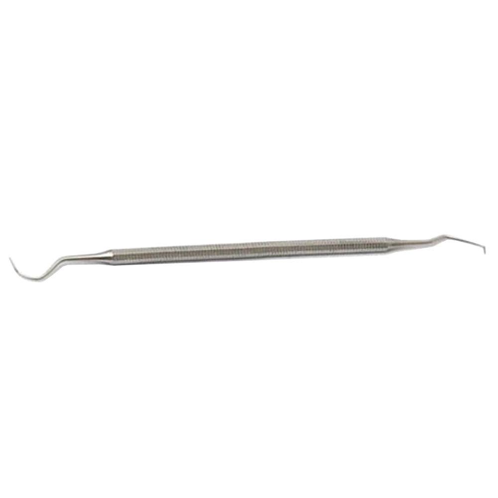 Stainless Steel Double End Hook Tooth Probe Dental Teeth Clean Hygiene Toothpick