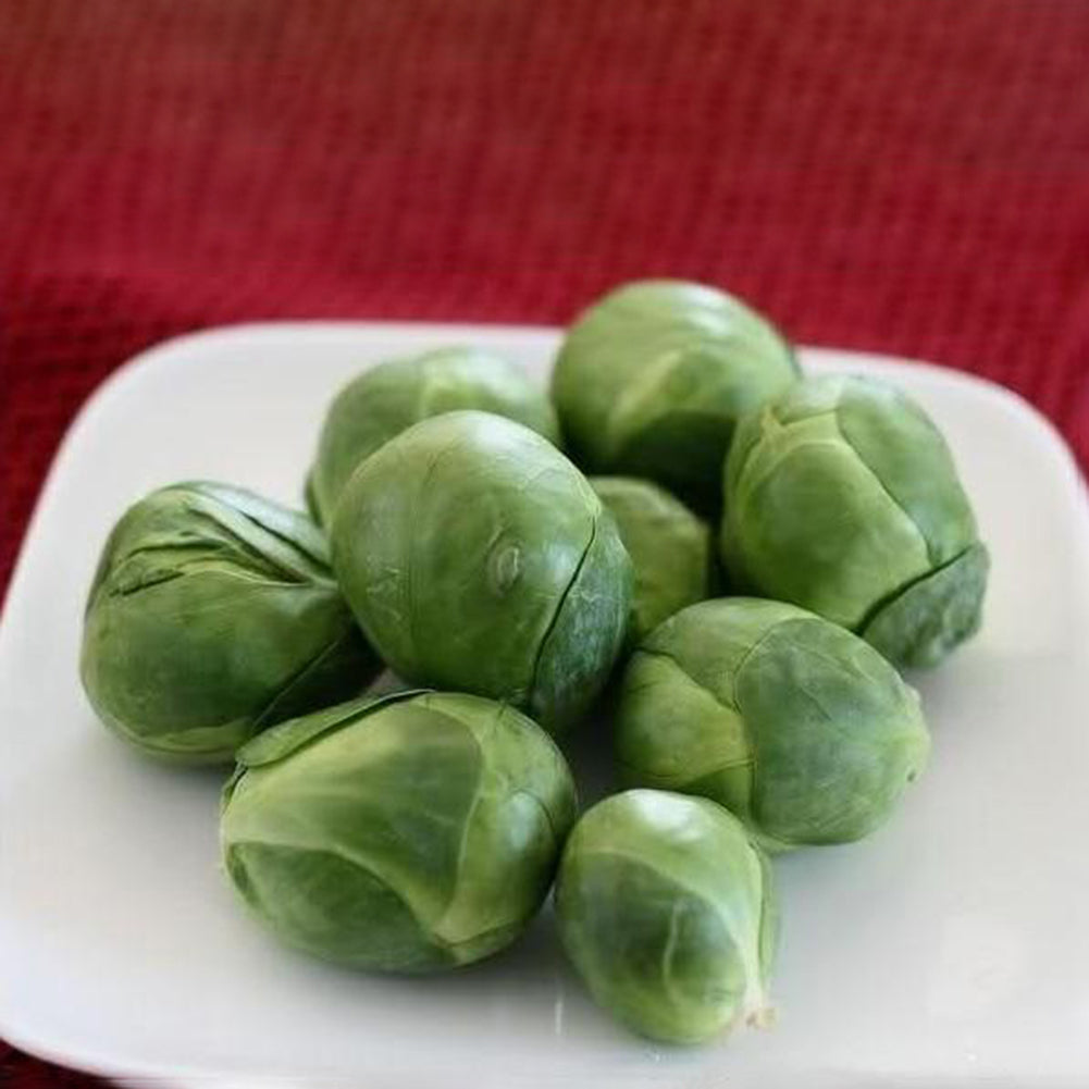 100Pcs Home Organic Vegetables Brussels Sprouts Cabbage Brassica Oleracea Seeds