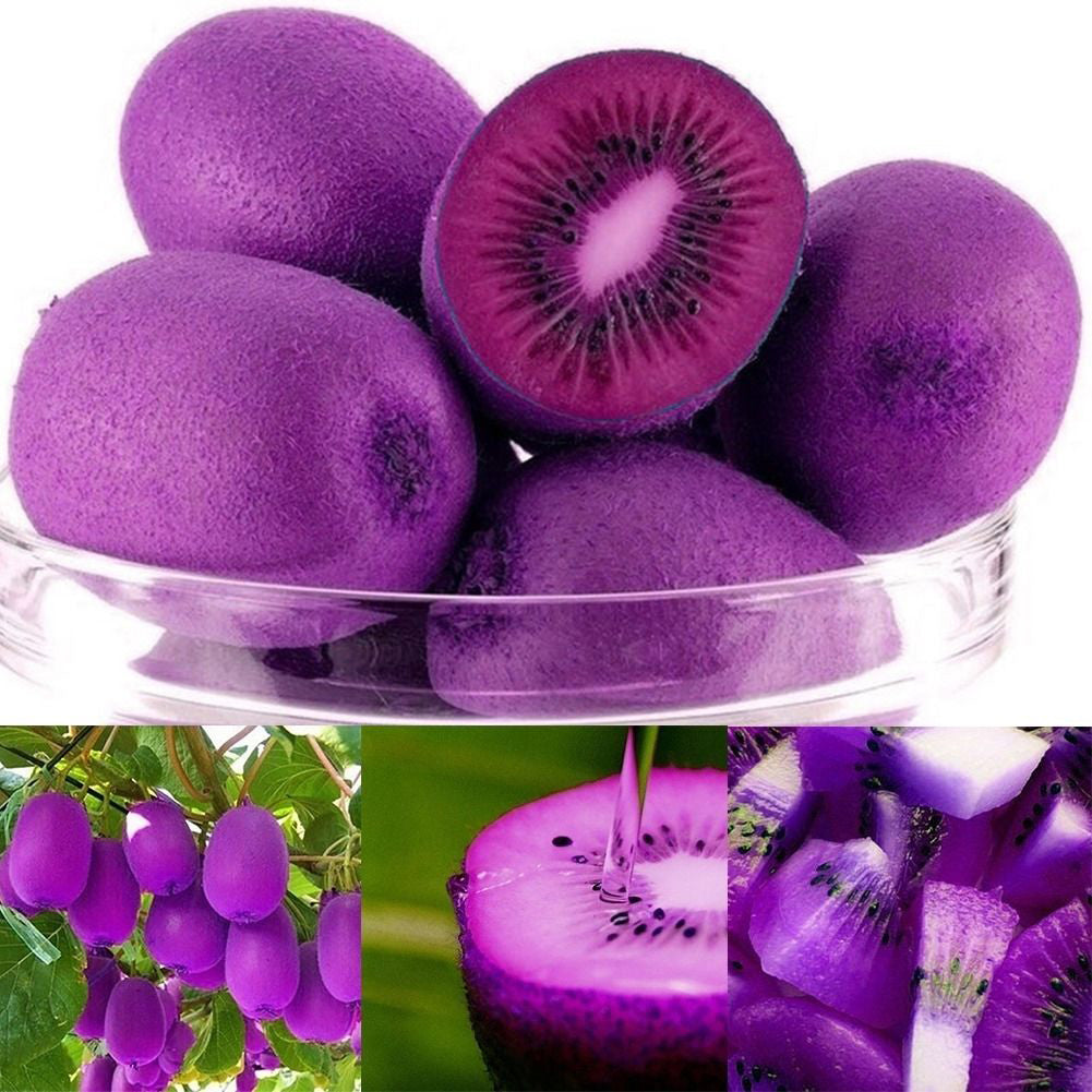 100Pcs Imported Kiwi Seeds Milk Taste Delicious Organic Fruit Home Garden Plant