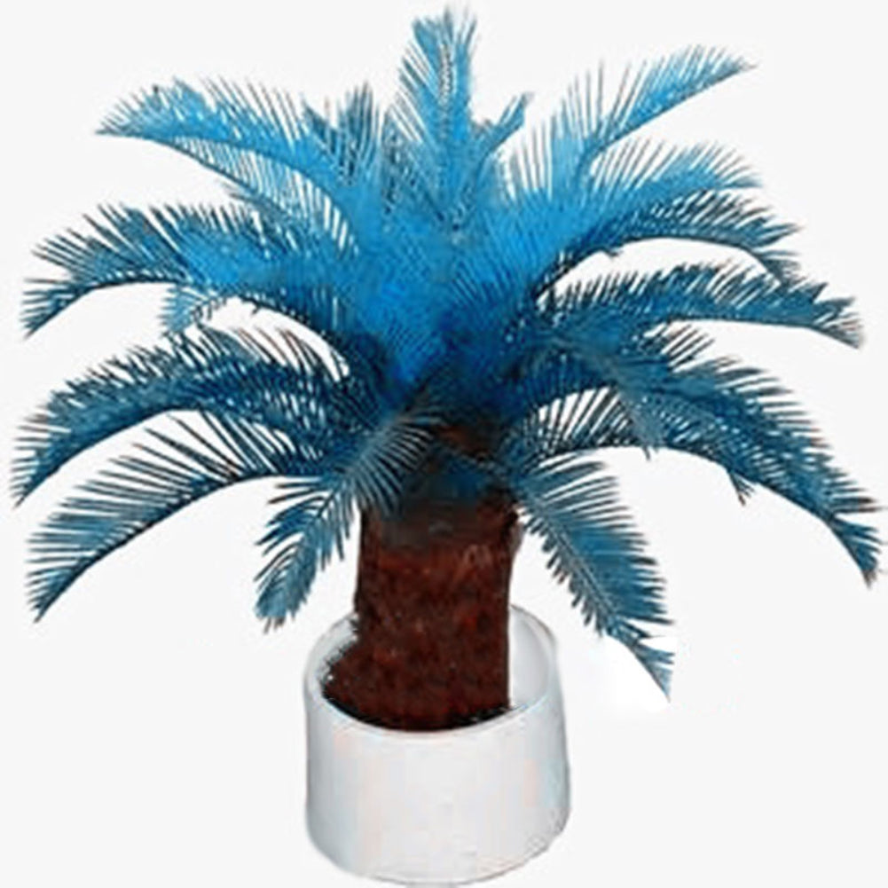 100 Pcs Blue Sago Palm Tree Seeds Cycad Bonsai Planting Home Garden Decoration