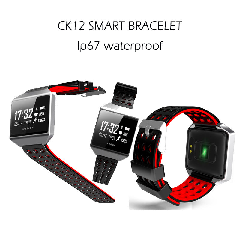CK12 20-25 Day Long Standby Multilingual Smart Bracelet